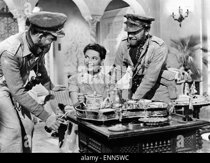 Hotel Sahara, Großbritannien 1951, Regie: Ken Annakin, Monia: Yvonne De Carlo, David Tomlinson, Roland Culver Stockfoto