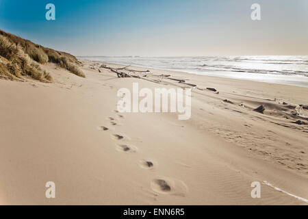 Fußspuren im Sand auf Bullards Beach, Oregon. Stockfoto