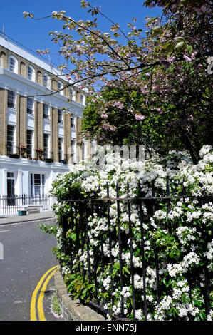 Milner Quadrat zeigt Häuser und Garten Square, London Borough of Islington England Großbritannien UK Stockfoto