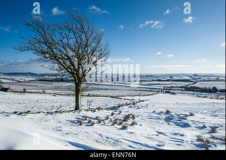 Winter-Szene in der Nähe von zweimal gebraut Stockfoto