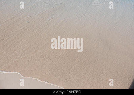 Eine Welle sanft waschen über einen Sandstrand in der Karibik Stockfoto