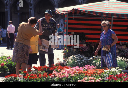 BEL, Belgien, Brüssel, Blumenmarkt am Grand Place.  BEL, Belgien, Bruessel, Blumenmarkt Auf Dem Grand Place. Stockfoto