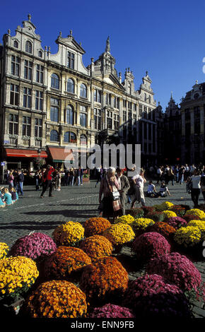 BEL, Belgien, Brüssel, Blumenmarkt am Grand Place.  BEL, Belgien, Bruessel, Blumenmarkt Auf Dem Grand Place. Stockfoto