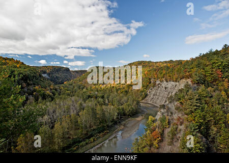 Fallen Sie in den Genesee River Gorge Stockfoto