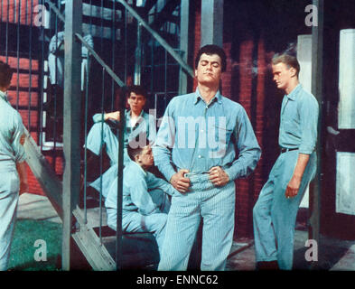 Sechs Brücken zu überqueren, USA 1955, aka: Seine Letzte Chance, Regie: Joseph Pevney, Monia: Tony Curtis Stockfoto