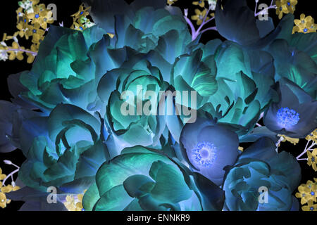Beautiful background of flowers, close-up Stockfoto