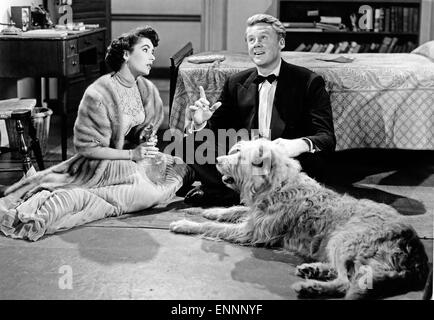 Der große Kater, aka Von Katzen Und Katern, USA, 1950, Regie: Norman Krasna, Monia: Van Johnson, Elizabeth Taylor Stockfoto