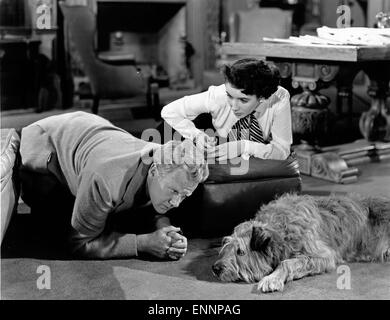 Der große Kater, aka Von Katzen Und Katern, USA, 1950, Regie: Norman Krasna, Monia: Van Johnson, Elizabeth Taylor Stockfoto