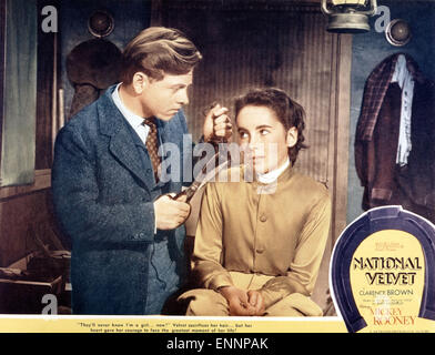 National Velvet, auch bekannt als Kleines Mädchen, großes Herz, USA, 1944, Regie: Clarence Brown, Monia: Elizabeth Taylor, Mickey Rooney Stockfoto