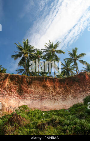 Klippen von Varkala Beach Indien Stockfoto