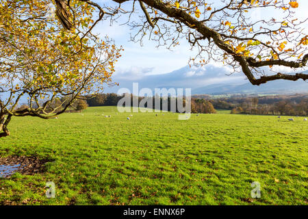 Landschaft in der Nähe von Penrhyn Castle ein Landhaus, Llandegai, Bangor, Gwynedd, Nordwales, Vereinigtes Königreich, Europa. Stockfoto