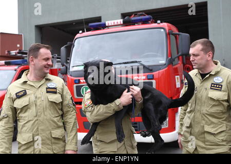 Danzig, Polen 9. Mai 2015 polnischen Feuerwehrleute aus Danzig nach Polen aus Nepal zurück. Polnische Retter nahmen an der Rettungsaktion nach dem Erdbeben in Nepal. Es gab 6 Feuerwehrleute und Rettungshund aus Danzig. Feuerwehrmann mit Hund namens Kali Stand vor der Feuer-Rettungswagen Stockfoto