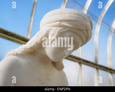 Eine Marmorstatue im Gewächshaus Kibble Palace in Glasgow Botanic Gardens, Schottland. Stockfoto