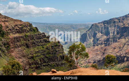 Waimea Canyon aus dem Bergrücken oberhalb Waipoo fallen, Kauai, Hawaii. Stockfoto