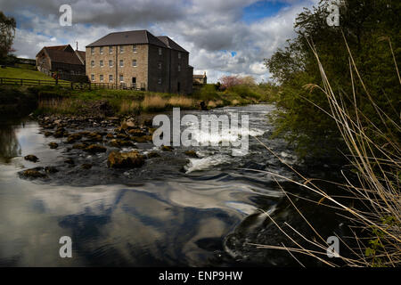 Heatherslaw Mühle am Fluss bis. Stockfoto