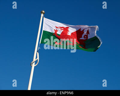 Walisische Flagge Stockfoto