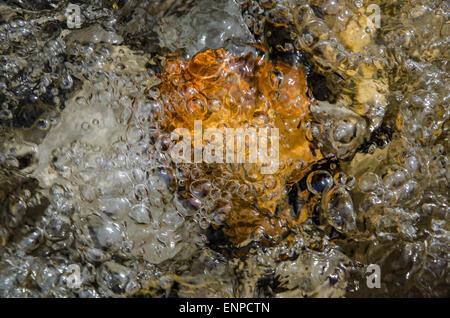 Ganz erstaunlich, diese bunte Mischung von Steinen, Wellen, Reflexionen und Schatten, wann gehen Sie auf dem flachen Fluss Weißach. Stockfoto