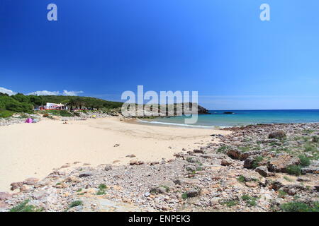 Der schöne Strand von Praia da Ingrina an der Algarve in Portugal. Stockfoto