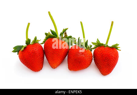 Frische Erdbeeren Stockfoto