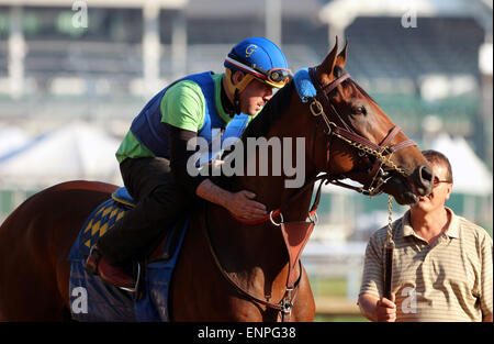 Louisville, KY, USA. 8. Mai 2015. 8. Mai 2015 amerikanisches Pharoah kehrte im Galopp in Churchill Downs nach seinem Sieg im Jahr 2015 Kentucky Derby. Er wurde von seinem Reiter Übung Georgie Alvarez geritten. Er ist am 16. Mai in die Preakness Stakes in Pimlico gerichtet. Besitzers Zayat Stables, Trainer Bob Baffert. Durch Pioneerof der Nil-X Littleprincessemma (Yankee Gentleman.) Mary M. Meek/ESW/CSM/Alamy Live-Nachrichten Stockfoto