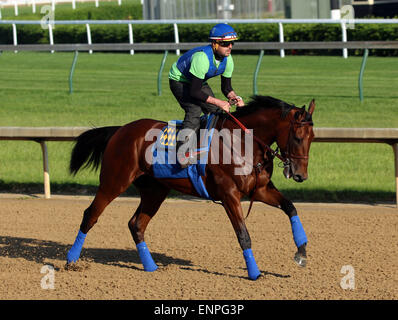 Louisville, KY, USA. 8. Mai 2015. 8. Mai 2015 amerikanisches Pharoah kehrte im Galopp in Churchill Downs nach seinem Sieg im Jahr 2015 Kentucky Derby. Er wurde von seinem Reiter Übung Georgie Alvarez geritten. Er ist am 16. Mai in die Preakness Stakes in Pimlico gerichtet. Besitzers Zayat Stables, Trainer Bob Baffert. Durch Pioneerof der Nil-X Littleprincessemma (Yankee Gentleman.) Bildnachweis: Mary M. Meek/ESW/CSM/Alamy Live-Nachrichten Stockfoto