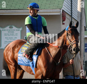 Louisville, KY, USA. 8. Mai 2015. 8. Mai 2015 amerikanisches Pharoah kehrte im Galopp in Churchill Downs nach seinem Sieg im Jahr 2015 Kentucky Derby. Er wurde von seinem Reiter Übung Georgie Alvarez geritten. Er ist am 16. Mai in die Preakness Stakes in Pimlico gerichtet. Besitzers Zayat Stables, Trainer Bob Baffert. Durch Pioneerof der Nil-X Littleprincessemma (Yankee Gentleman.) Bildnachweis: Mary M. Meek/ESW/CSM/Alamy Live-Nachrichten Stockfoto