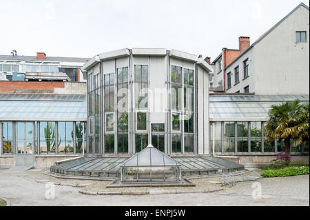 Belgien, Antwerpen, grün im Botanischen Garten Stockfoto