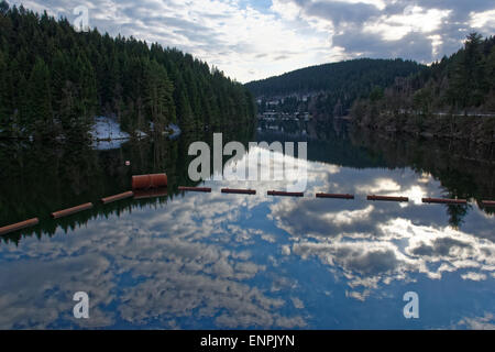 Nebligen Landschaft im Okertal, Harz, Deutschland. Stockfoto