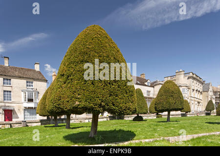 Eibe Bäume auf dem Gelände des St. Mary Parish Kirche Painswick, Gloucestershire, England, UK Stockfoto