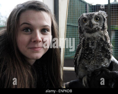 Mädchen mit einer Eule Stockfoto