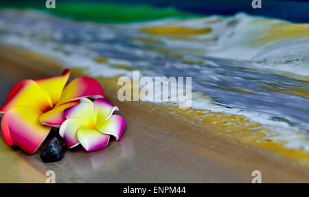 Eine rosa und gelb Hawaii Blume, Plumeria, Verlegung auf Sand mit Wellen im Hintergrund und geringe Schärfentiefe Stockfoto