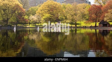 Frühling am Konservatorium Wasser, auch bekannt als das Modell Boot Teich im Central Park in New York CIty Stockfoto