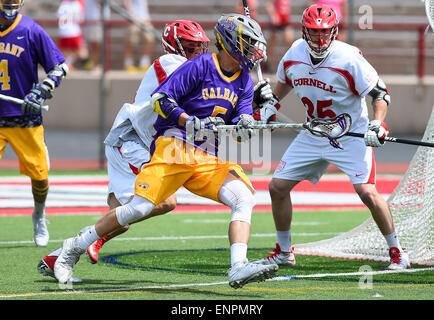 Ithaca, New York, USA. 9. Mai 2015. Albany Doggen Attackman Connor Felder (5) weicht dem Ziel während des NCAA Turniers zuerst Runde Spiel zwischen Albany-Doggen und die Cornell Big Red bei Schoellkopf Field in Ithaca, New York. Albany besiegt Cornell 19-10. Rich Barnes/CSM/Alamy Live-Nachrichten Stockfoto