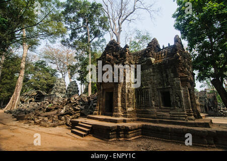 Der schöne Tempel Ta Prohm in Siem Reap, Kambodscha Stockfoto