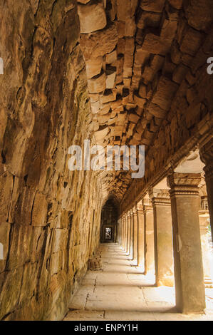 Der schöne Tempel Ta Prohm in Siem Reap, Kambodscha Stockfoto