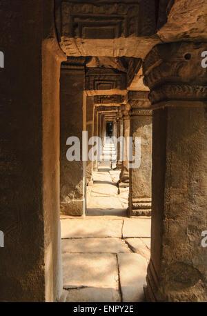 Der schöne Tempel Ta Prohm in Siem Reap, Kambodscha Stockfoto