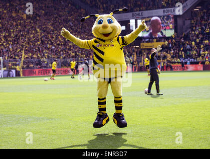 Dortmund, Deutschland. 9. Mai 2015. Maskottchen Emma vor der deutschen Fußball-Bundesliga-Fußball-match zwischen Borussia Dortmund und Hertha BSC im Signal Iduna Park in Dortmund, Deutschland, 9. Mai 2015. Das Spiel Ened 2-0. Foto: MAJA HITIJ/Dpa/Alamy Live News Stockfoto