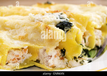 gefüllte Cannelloni mit Räucherlachs und ricotta Stockfoto