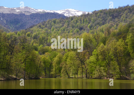 Kleiner See in Dilijan, Armenien Stockfoto