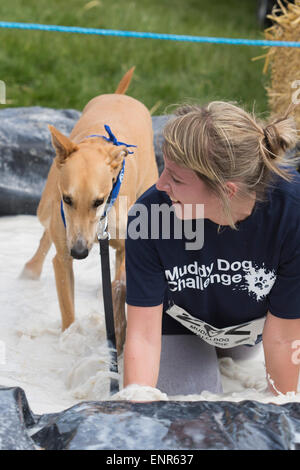 London, UK. 10. Mai 2015. Battersea Hunde & Cats Home veranstaltet seine allererste schlammigen Hund Herausforderung Besitzern die Möglichkeit testen Sie ihre Fitness und gegen Hindernisse neben ihren vierbeinigen Freunden in Brockwell Park, South London. 191 Hunde und 260 Läufer teilgenommen, Gelder für Battersea & Katzen Hunde zuhause. Foto: Nick Savage/Alamy Live-Nachrichten. Stockfoto