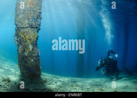 Unterwasser-Fotograf während der Aufnahme eines Bildes unter dem Steg von Ambon, umgeben von schönen Sonnenstrahlen Stockfoto