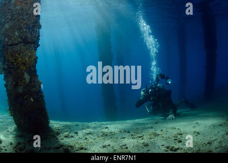 Unterwasser-Fotograf während der Aufnahme eines Bildes unter dem Steg von Ambon, umgeben von schönen Sonnenstrahlen Stockfoto