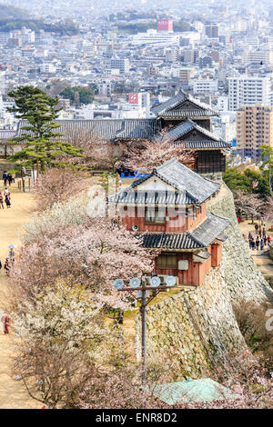 Blick von der Burg Iyo Matsuyama entlang der Mauern mit Blick auf den Haupteingang mit dem Harness und Taiko Turret, Yagura und Tsutsui mon Tor. Stockfoto