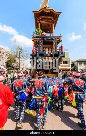 Ein Team von Männern, die sich bemühen, einen massiven Dashi, Yama, Holzwagen zu schieben, umgeben von Massen von Touristen, die das Frühlingsfest von Inuyama beobachten Stockfoto