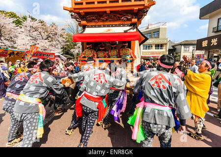 Ein Team von Männern, die sich bemühen, einen massiven Dashi, Yama, Holzwagen zu schieben, umgeben von Massen von Touristen, die das Frühlingsfest von Inuyama beobachten Stockfoto