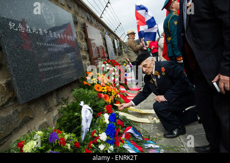 Wien, Österreich. 10. Mai 2015. Eine russische ältere präsentiert Blumen zu den getöteten im Rahmen einer Feierstunde zum 70. Jahrestag der Befreiung des KZ Mauthausen in dem Land Oberösterreich, Österreich, 10. Mai 2015. Ausländische Delegationen, österreichischer Politiker und Überlebenden gesammelt mit Tausenden von Menschen, zum Gedenken an den 70. Jahrestag der Befreiung des Konzentrationslagers Mauthausen am Sonntag. © Qian Yi/Xinhua/Alamy Live-Nachrichten Stockfoto