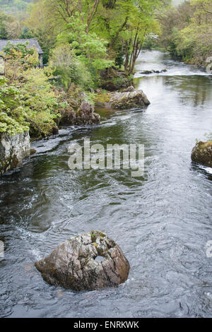 Fluss Llugwy (Afon Llugwy), Betws-y-Coed, Clwyd, Wales, UK. Stockfoto