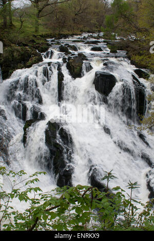 Swallow Falls (Rhaeadr Ewynnol) Wasserfall am Afon Llugwy, Betws-y-Coed, Wales, UK Stockfoto