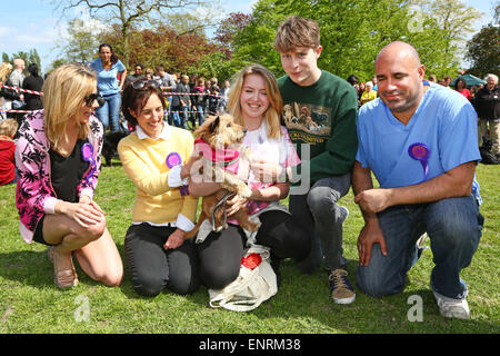 London, UK. 10. Mai 2015. Mivvy der Cairn Jack Russell Cross, Sieger in der Kategorie beste Golden Oldie, mit Richter Promi Tierarzt Marc Abraham und Countdown Moderatorin Rachel Riley und Stephanie Marsh an alle Hunde Angelegenheit große Hampstead bellen aus Dog Show 2015, Hampstead Heath, London zugunsten der Suche nach Wohnungen für Rettungshunde. Die Hundeausstellung wirkt die besten Rettungshunde, die beste Oldie und nettesten Hunde finden wird durch eine Reihe von Promi-Jury beurteilt und wirft brauchte viel Geld für die Nächstenliebe. Bildnachweis: Paul Brown/Alamy Live-Nachrichten Stockfoto