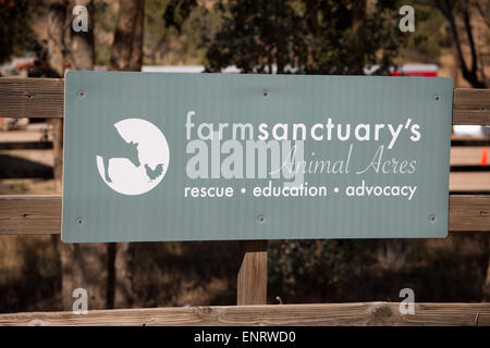 Farm Sanctuary in Acton, Kalifornien. Ein Bauernhof Tierschutzorganisation mit Heiligtümern in New York und Kalifornien. Stockfoto